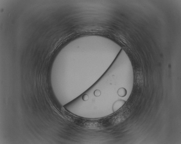 X0000062640408200601111131