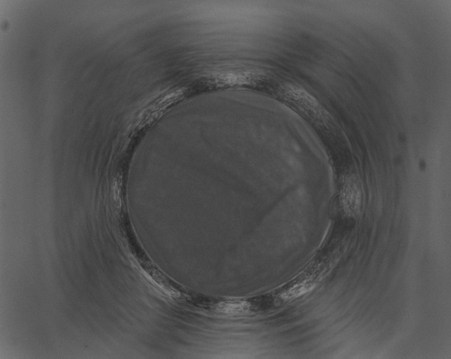 X0000062640410200601111131