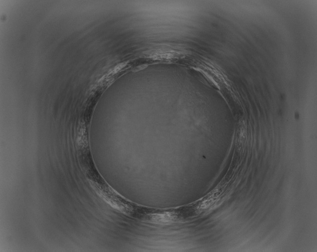 X0000062640411200601111131