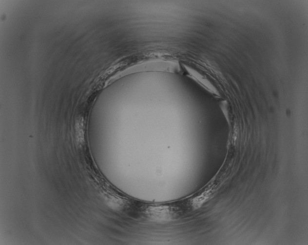 X0000062640413200601111131