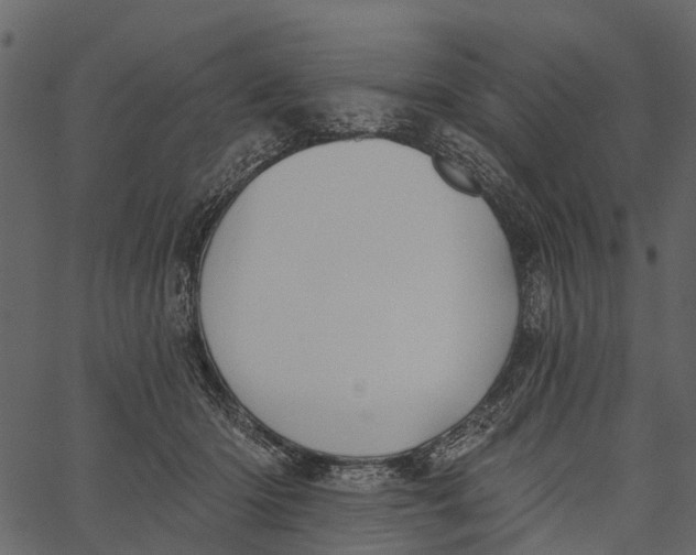 X0000062640414200601111131