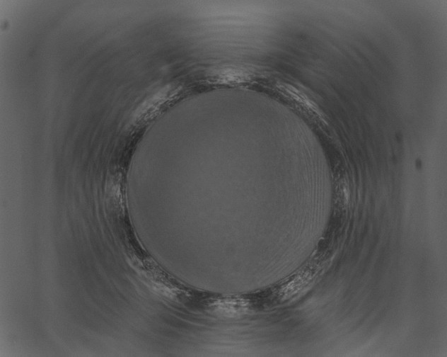 X0000062640415200601111131