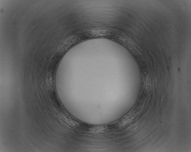 X0000062640418200601111131