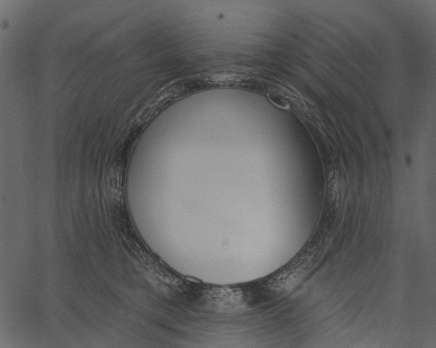 X0000062640421200601111131