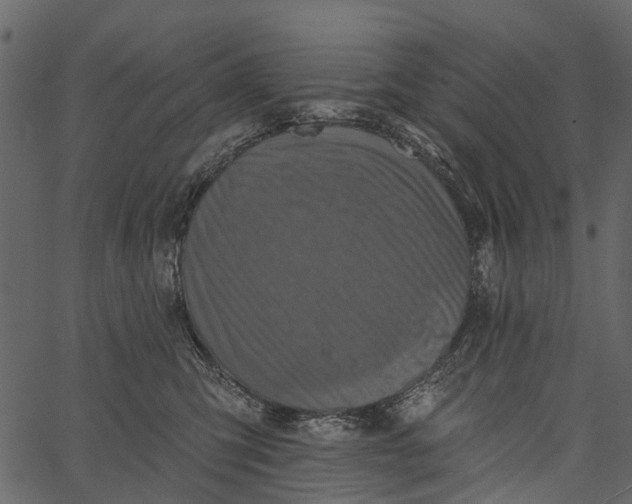 X0000062640423200601111131