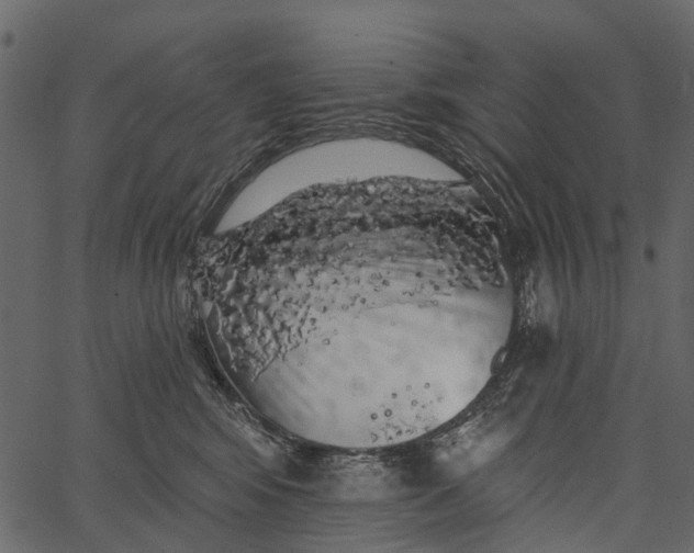 X0000062640424200601111131