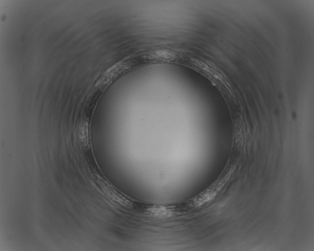 X0000062640425200601111131