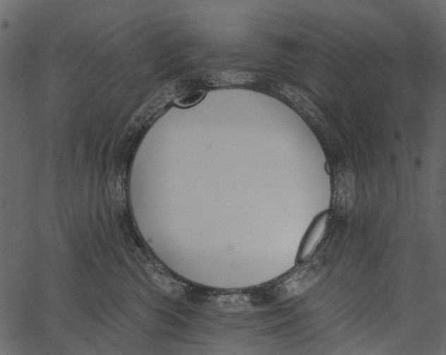 X0000062640426200601111130