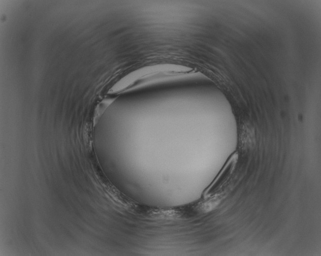 X0000062640428200601111130