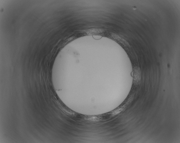 X0000062640430200601111130