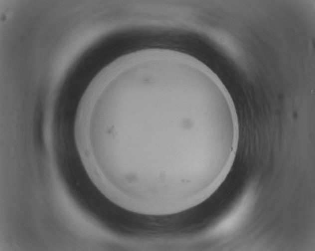 X0000062640431200601111130