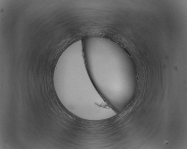 X0000062640432200601111130