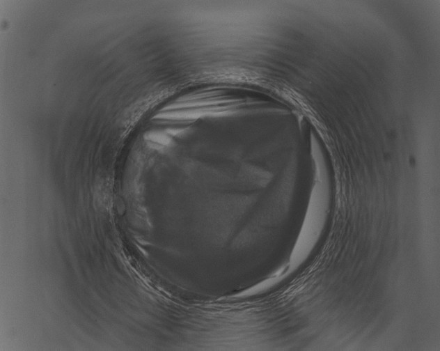 X0000062640434200601111130