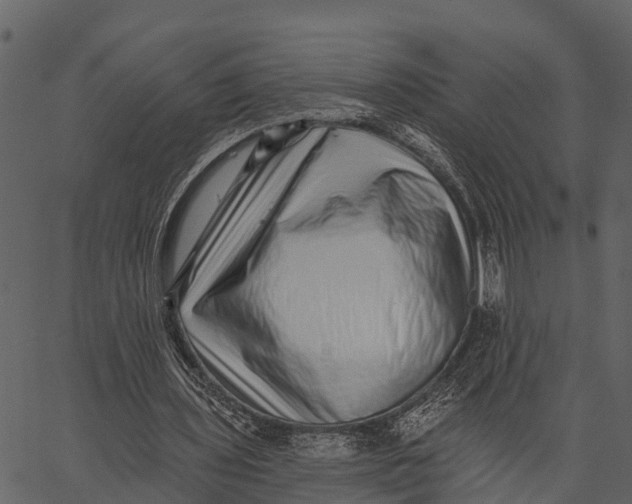 X0000062640435200601111130