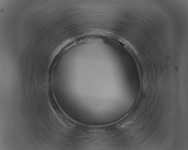 X0000062640436200601111130