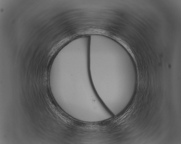 X0000062640437200601111130