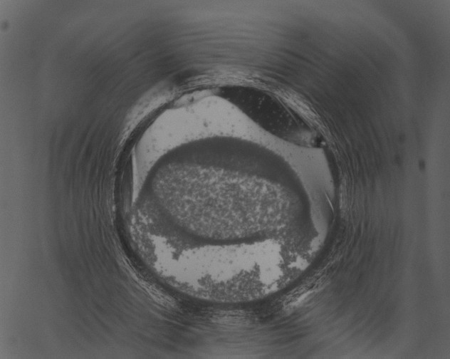 X0000062640438200601111130