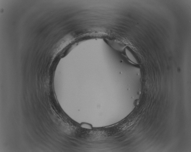 X0000062640440200601111130