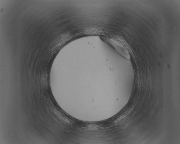 X0000062640441200601111130