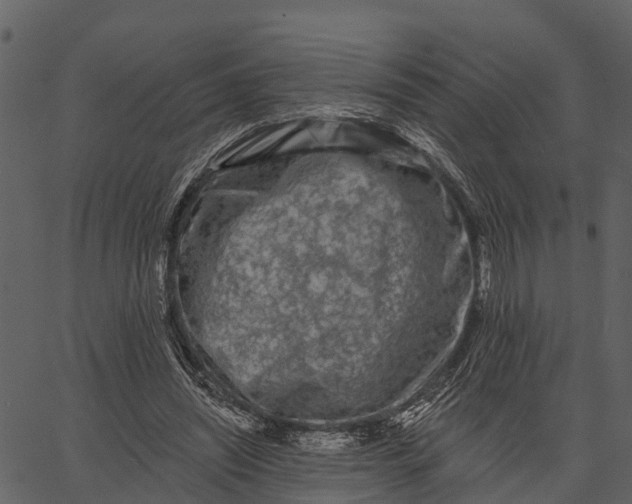 X0000062640444200601111130