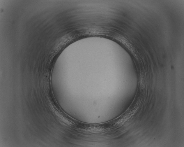 X0000062640445200601111130