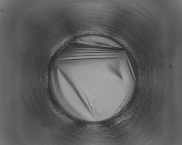 X0000062640446200601111130