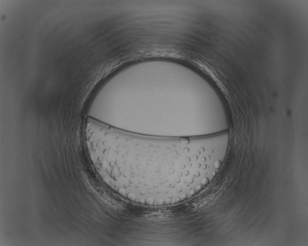 X0000062640447200601111130