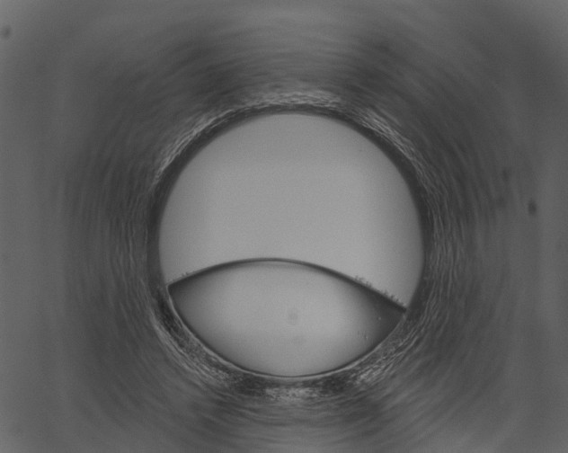 X0000062640448200601111130