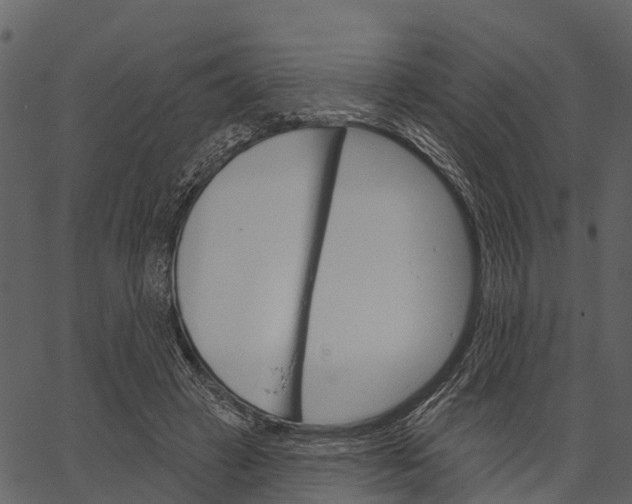 X0000062640449200601111130