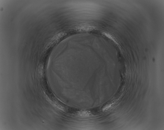 X0000062640451200601111130