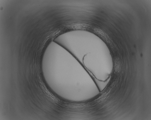 X0000062640453200601111130