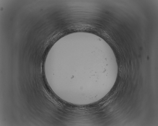 X0000062640454200601111130