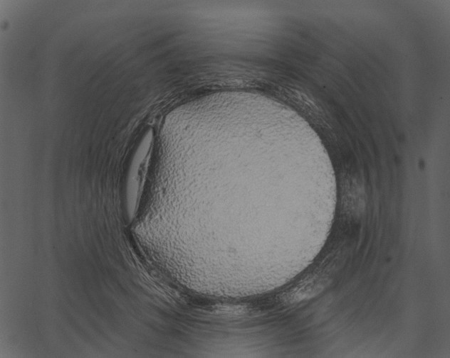 X0000062640457200601111130