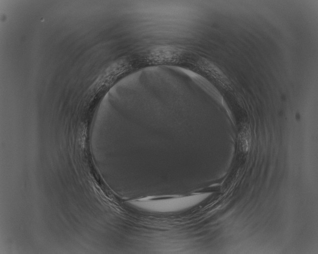 X0000062640458200601111130