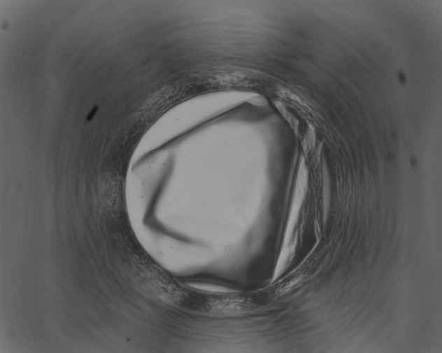 X0000062640461200601111130