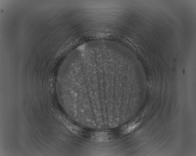 X0000062640462200601111130