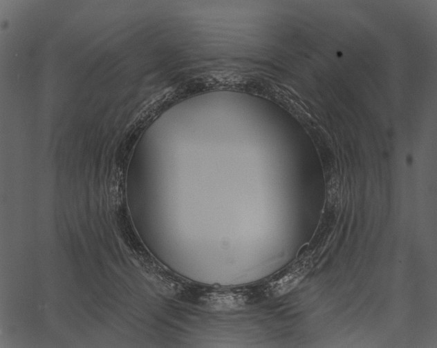 X0000062640464200601111130