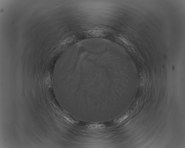 X0000062640465200601111130