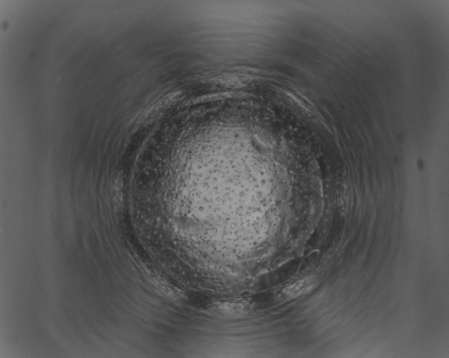 X0000062640466200601111130