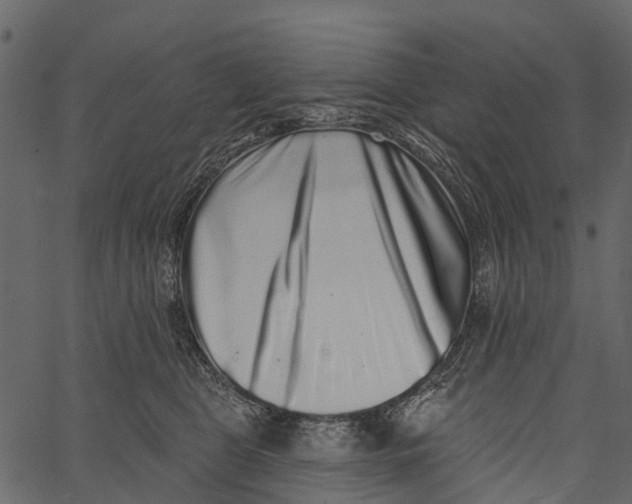 X0000062640469200601111130