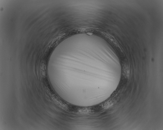 X0000062640470200601111130