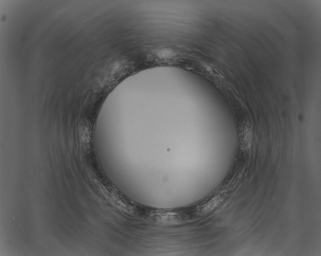 X0000062640472200601111130