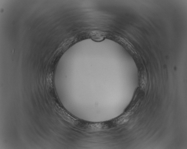 X0000062640473200601111130