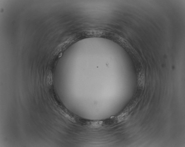 X0000062640474200601111130