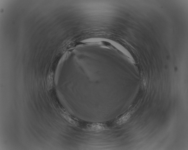 X0000062640475200601111130