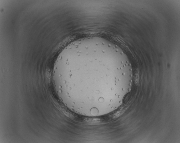 X0000062640476200601111130