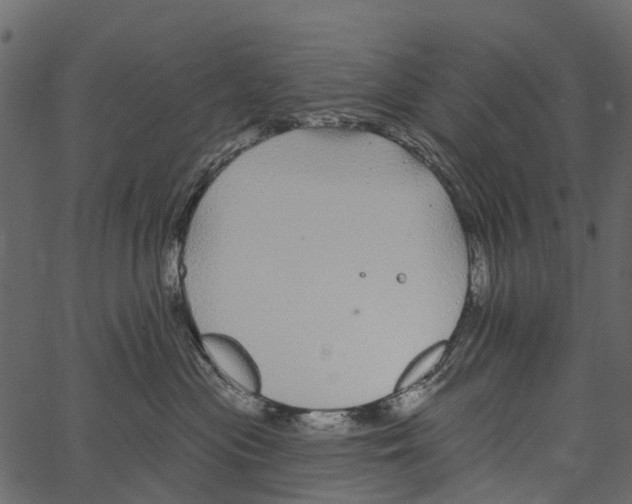 X0000062640477200601111130