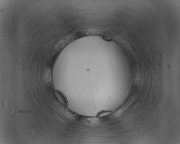 X0000062640478200601111130