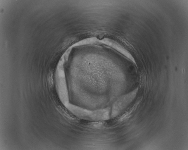 X0000062640479200601111130