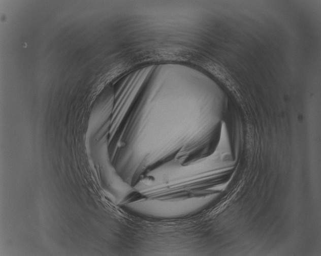 X0000062640481200601111130